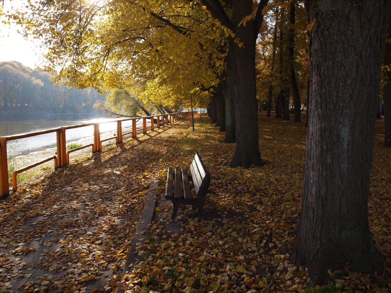 Eurovelo 11: il percorso dell’Europa Orientale