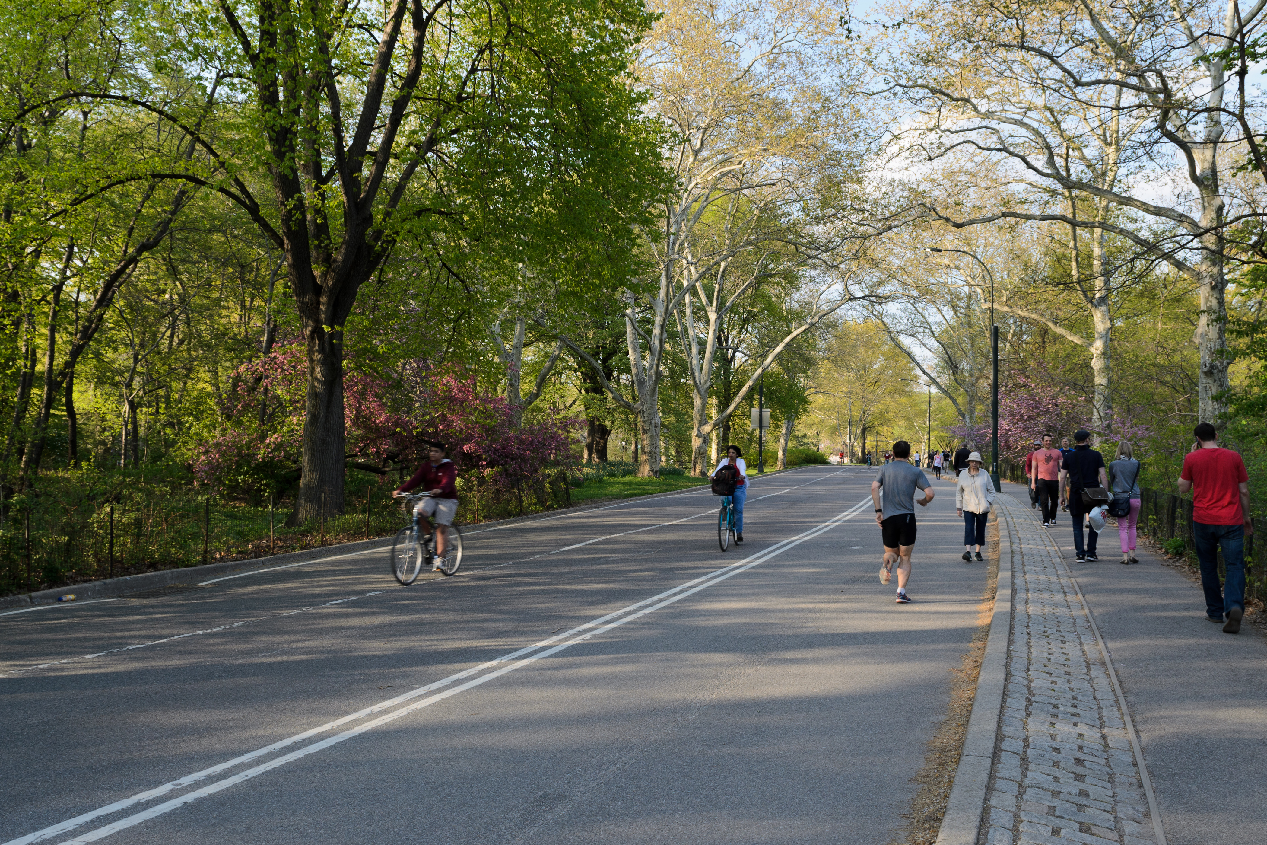 Tour di Central Park in bicicletta