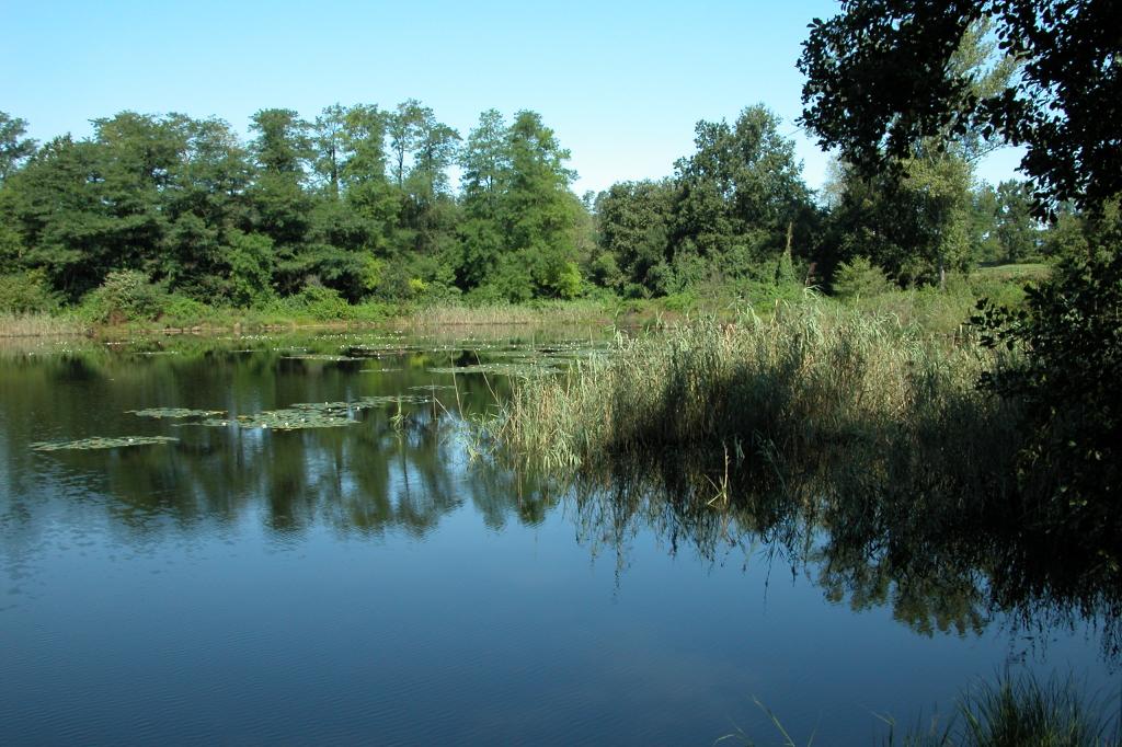 In mountain bike nel Parco dei Lagoni: sentieri e sterrati