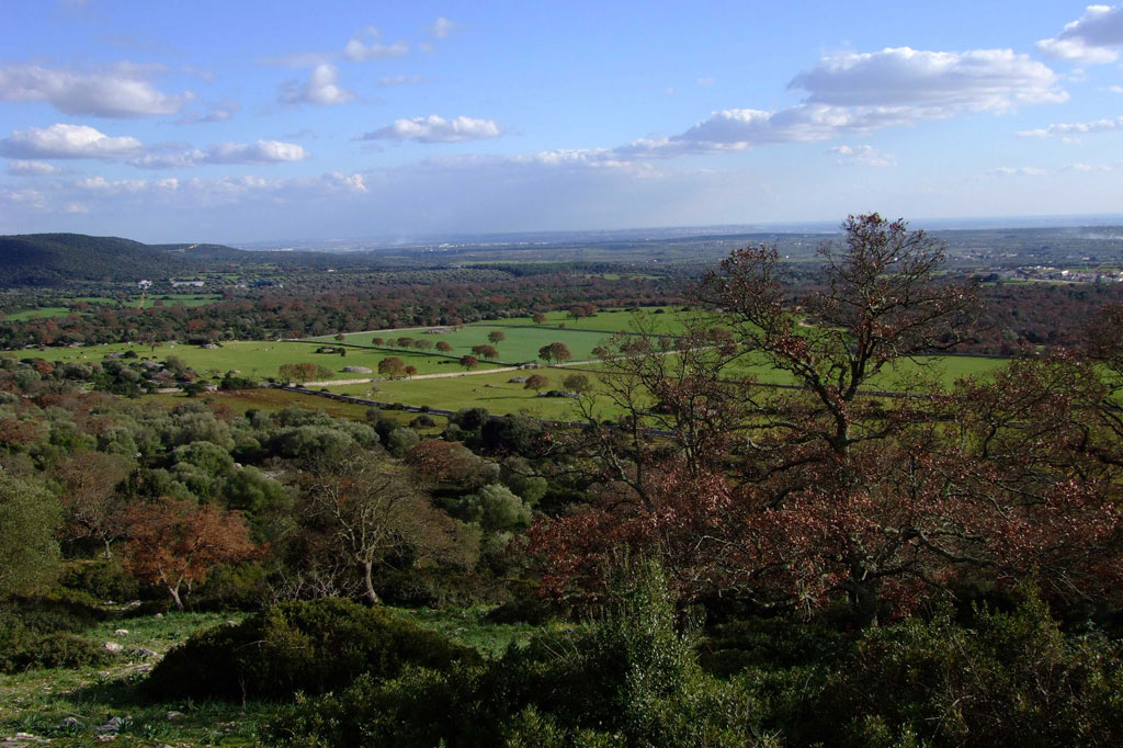 Da Martina Franca alla Riserva Statale delle Murge Orientali