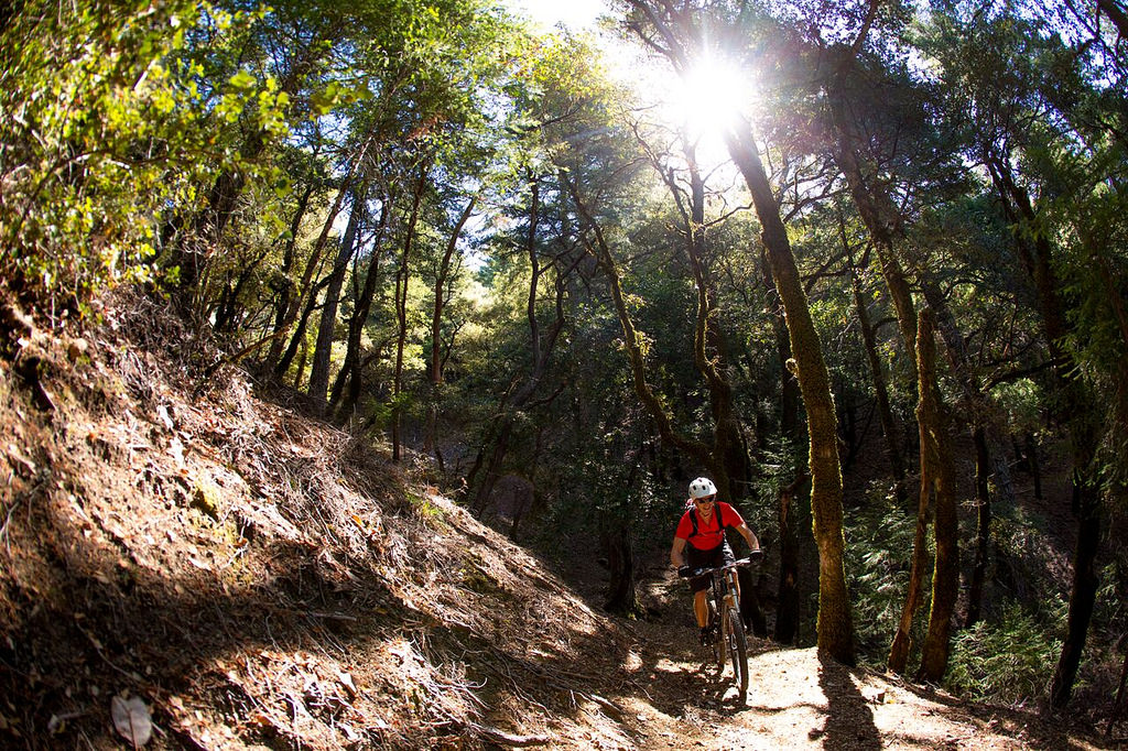 Scegliere la bici per affrontare un trail