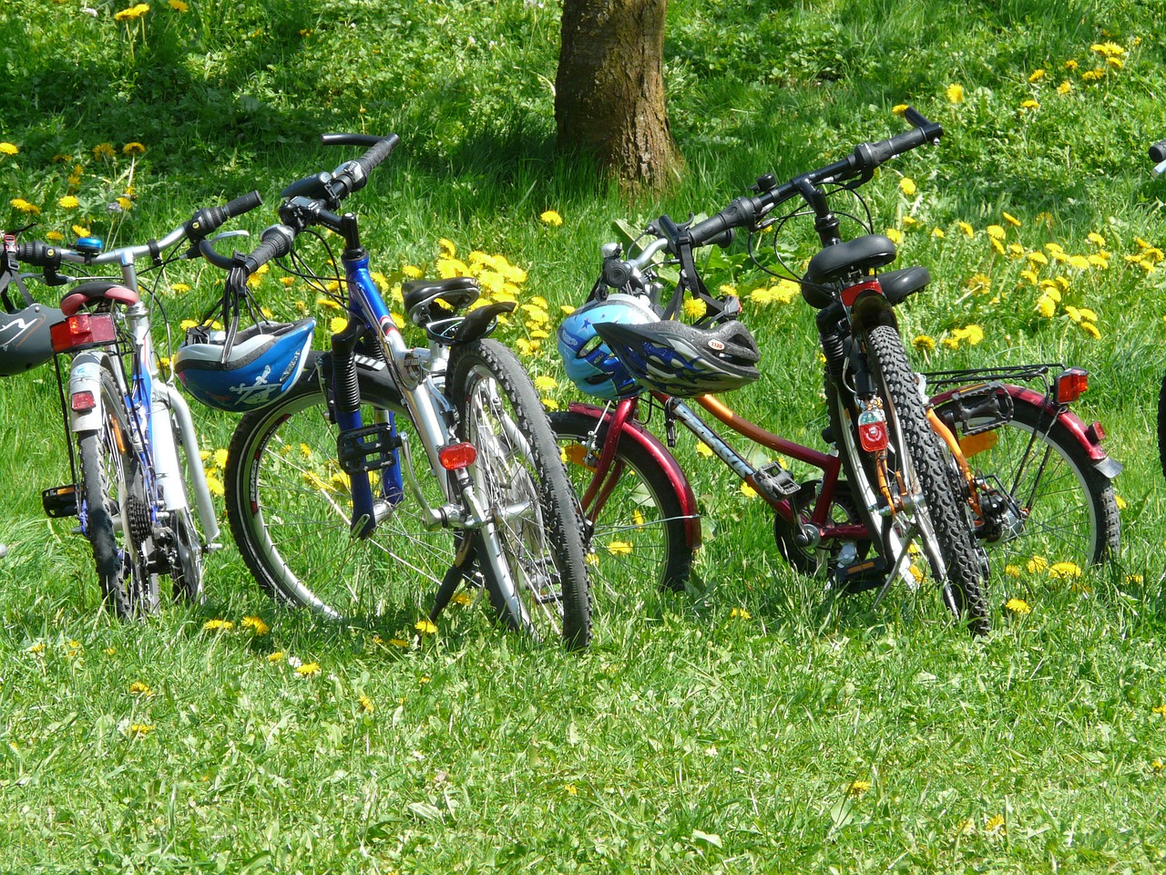 Fare cicloturismo con i bambini