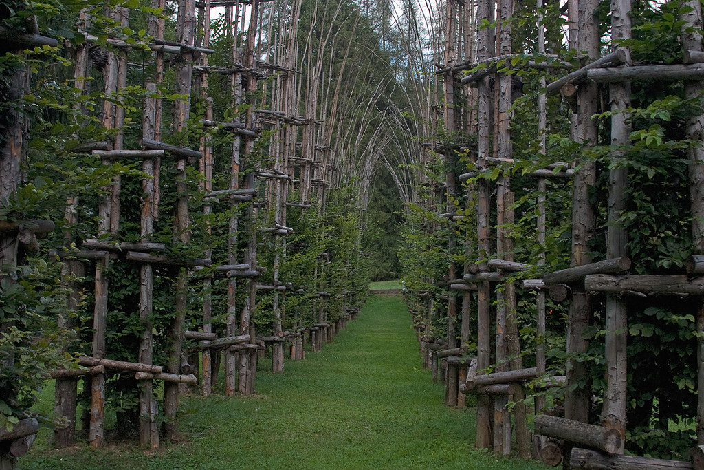 Val di Sella: in bicicletta al parco-museo Arte Sella