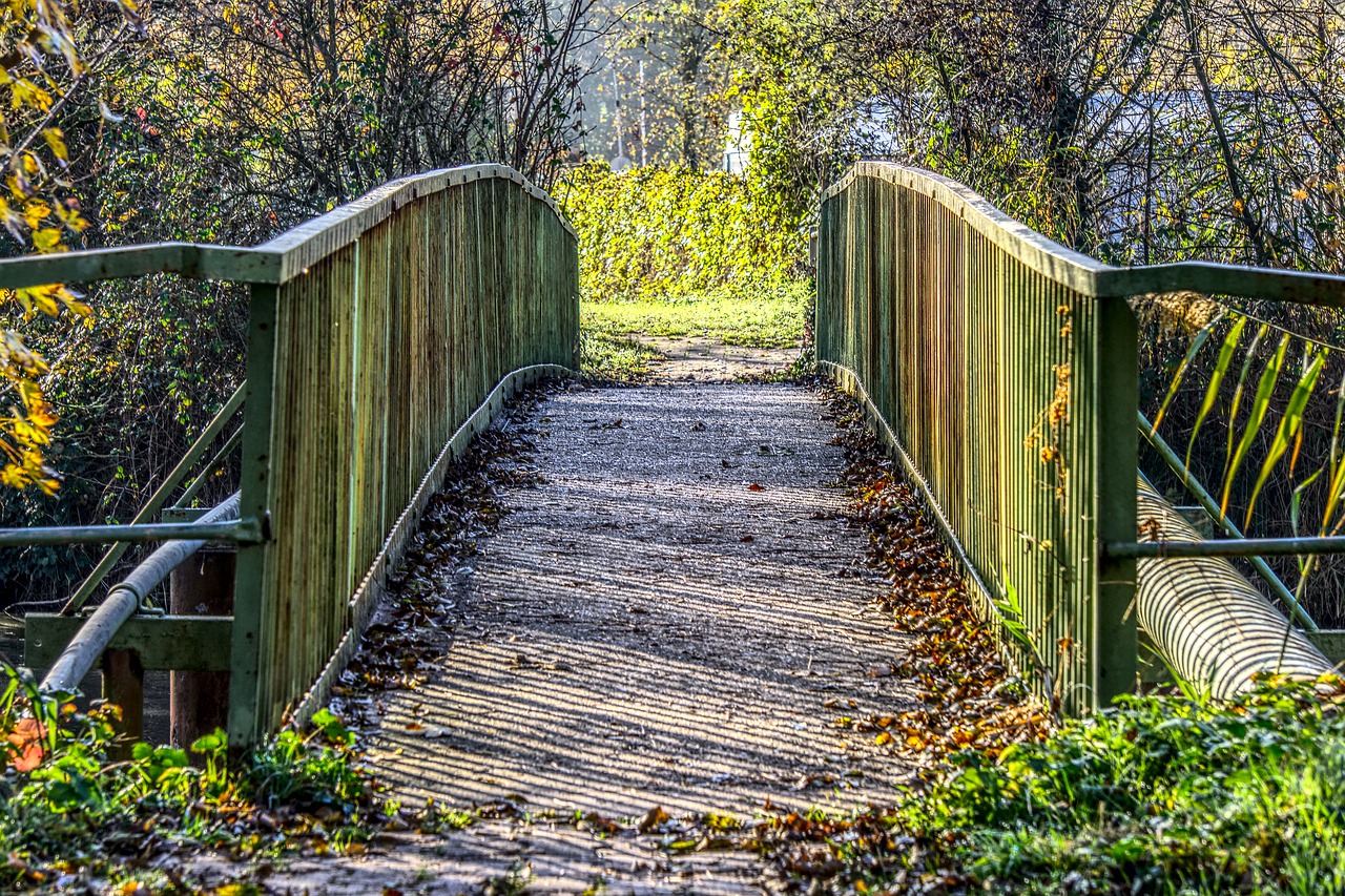 Ladri di biciclette in azione  sulla ciclabile del Villoresi.
