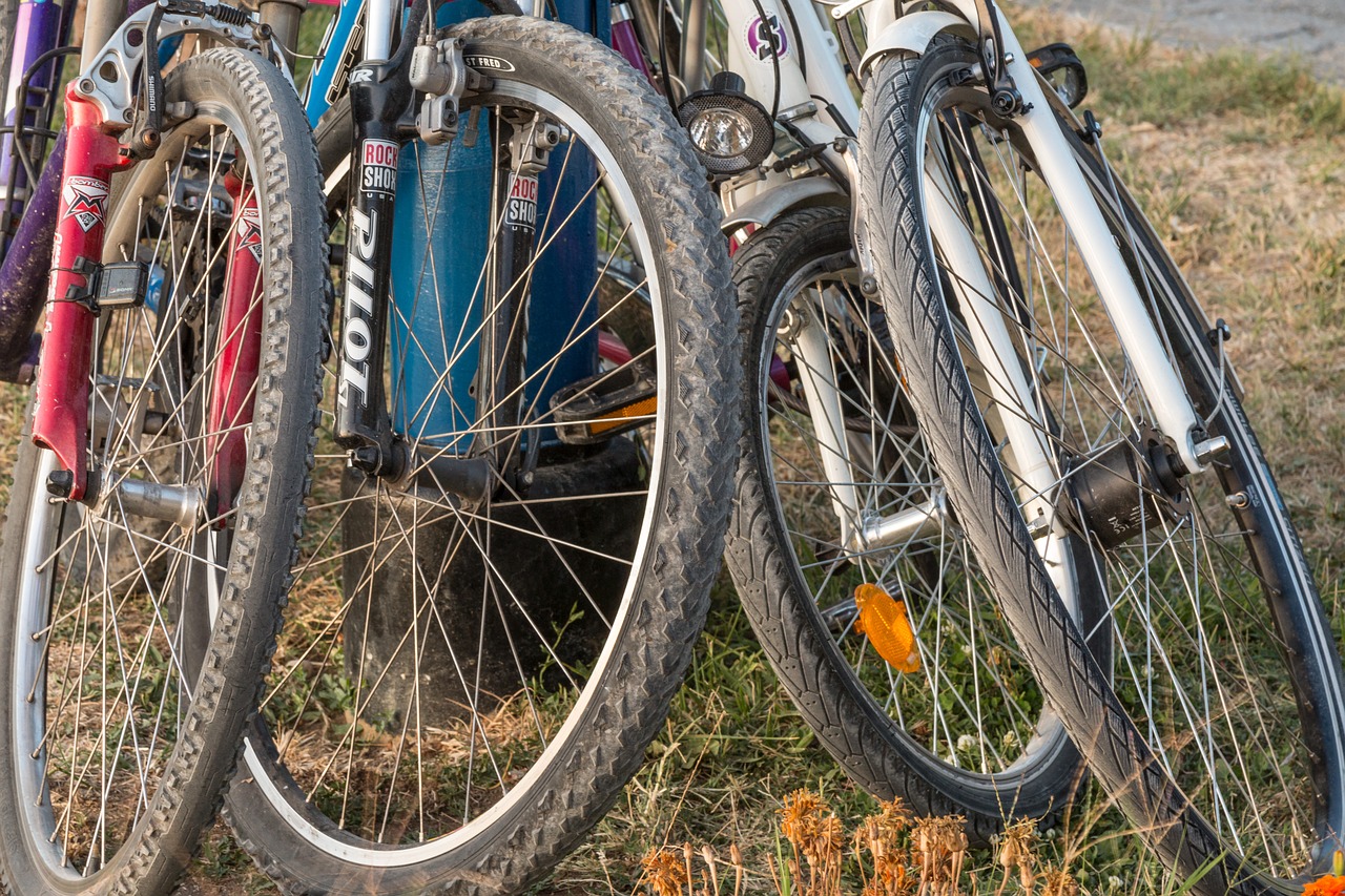 Nuova ciclabile nella città di Rio Saliceto .