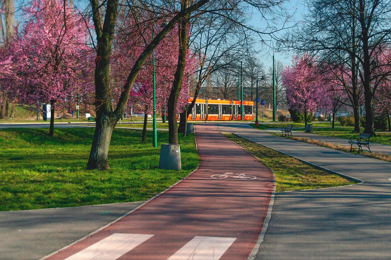 Nuova ciclabile nella città di Nuoro .