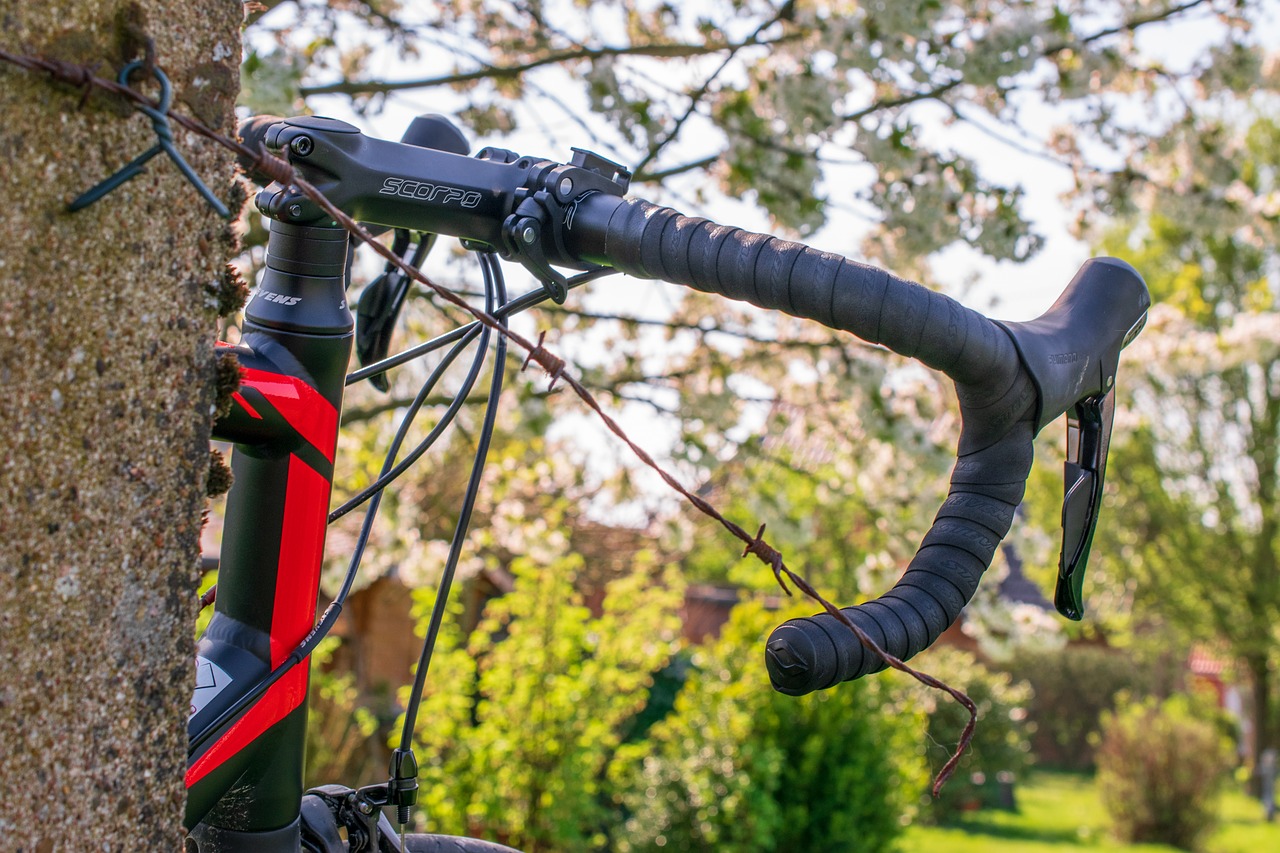Ruba una  bici da 15mila , ladro fermato dopo poche ore .