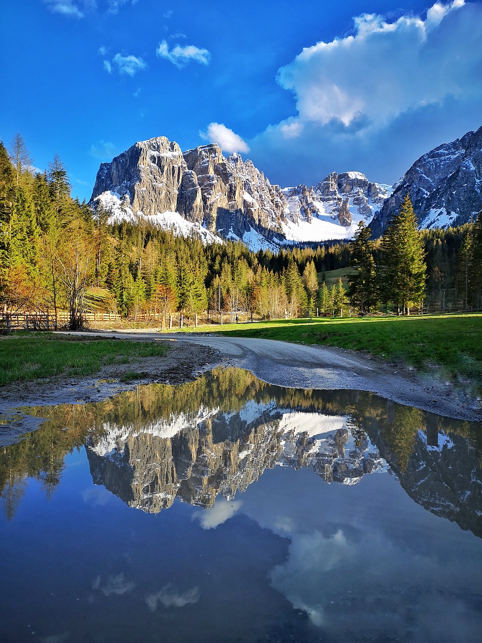 Esplorando la Pista Ciclabile della Val di Non