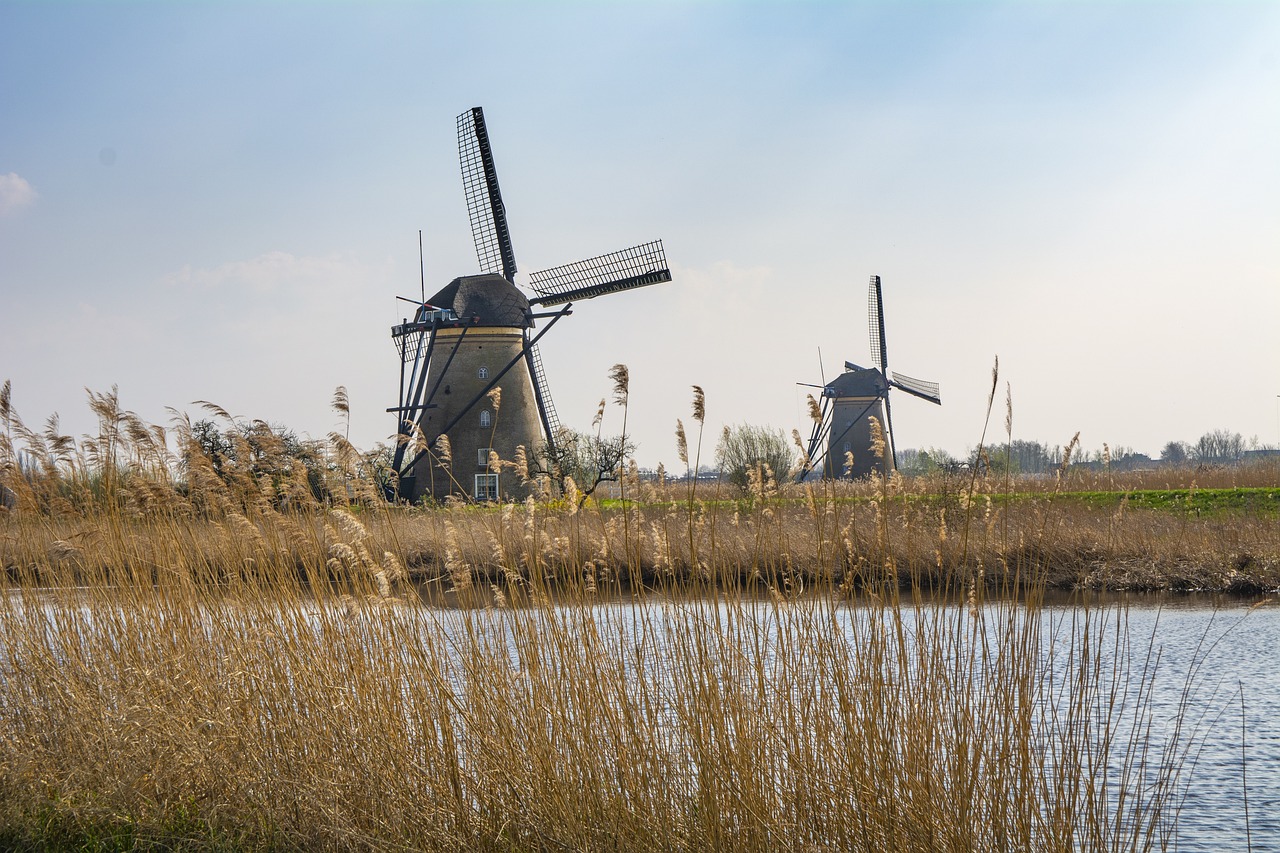 Pedalando tra i Giganti: L’Avventura Ciclistica di Kinderdijk
