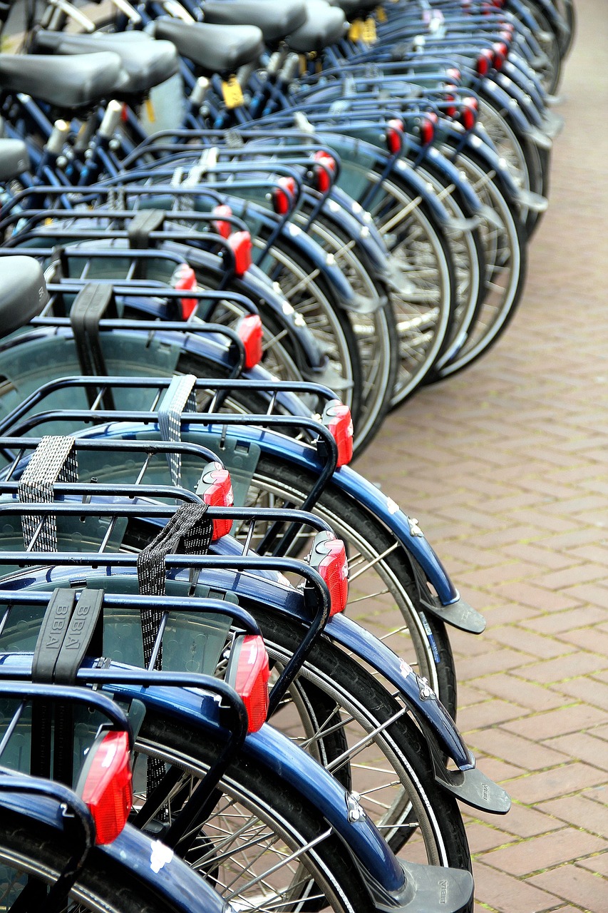 Nuove Infrastrutture per la Mobilità Sostenibile a Ravenna