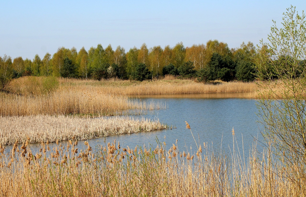 La pista ciclabile più bella d’Italia: l’Argine degli Angeli nel Parco del Delta del Po