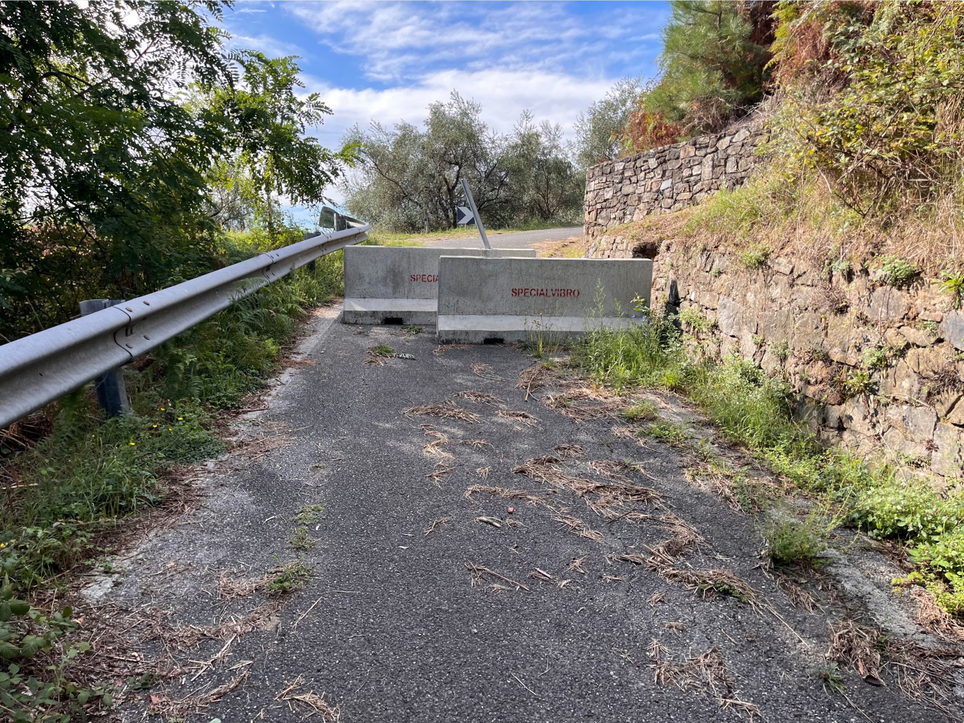 Frane e Indifferenza Piccolo Mortirolo da Mutigliano Lucca