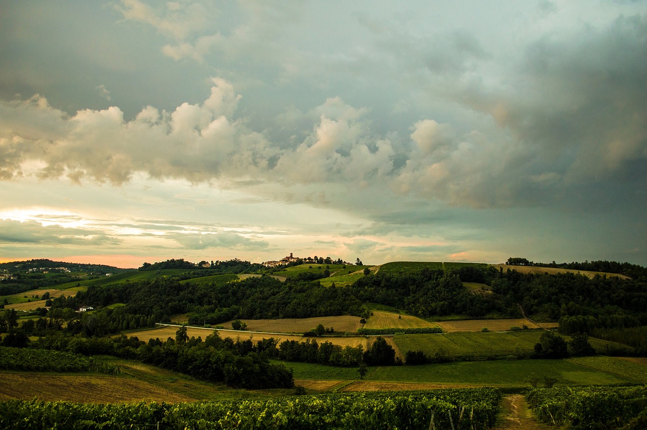 Pedalata nelle Langhe: Un Itinerario di Cicloturismo tra Vigneti e Borghi Storici