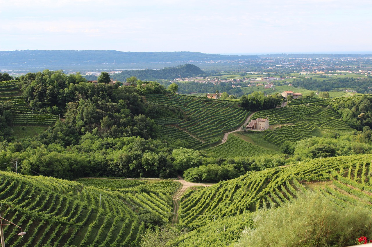 Tra Ville, Vigne e Canali: Un Viaggio in Bici lungo il Percorso del Sile in Veneto