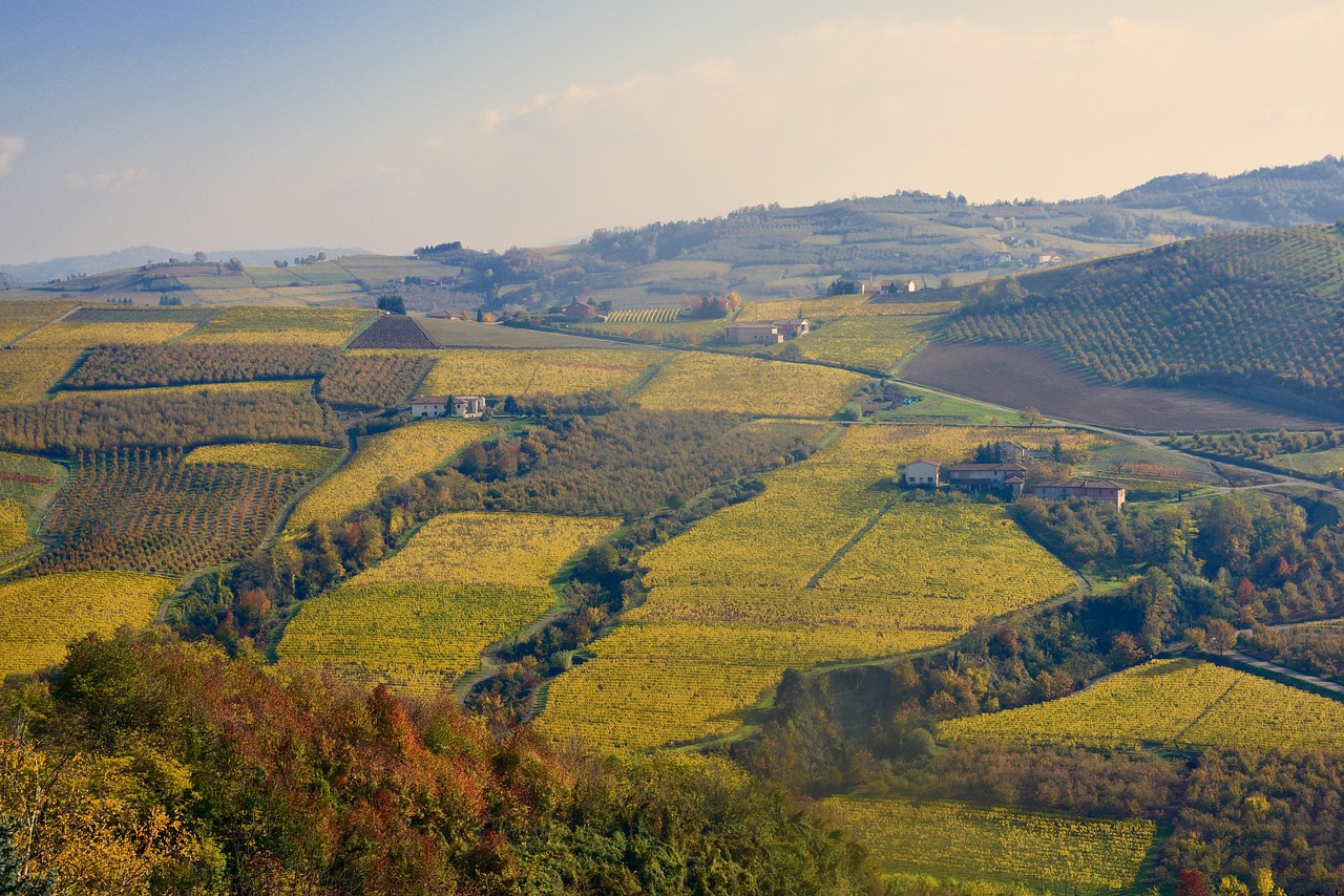 Pedalando tra colline, castelli e vigneti: un viaggio in bicicletta nella provincia di Alessandria