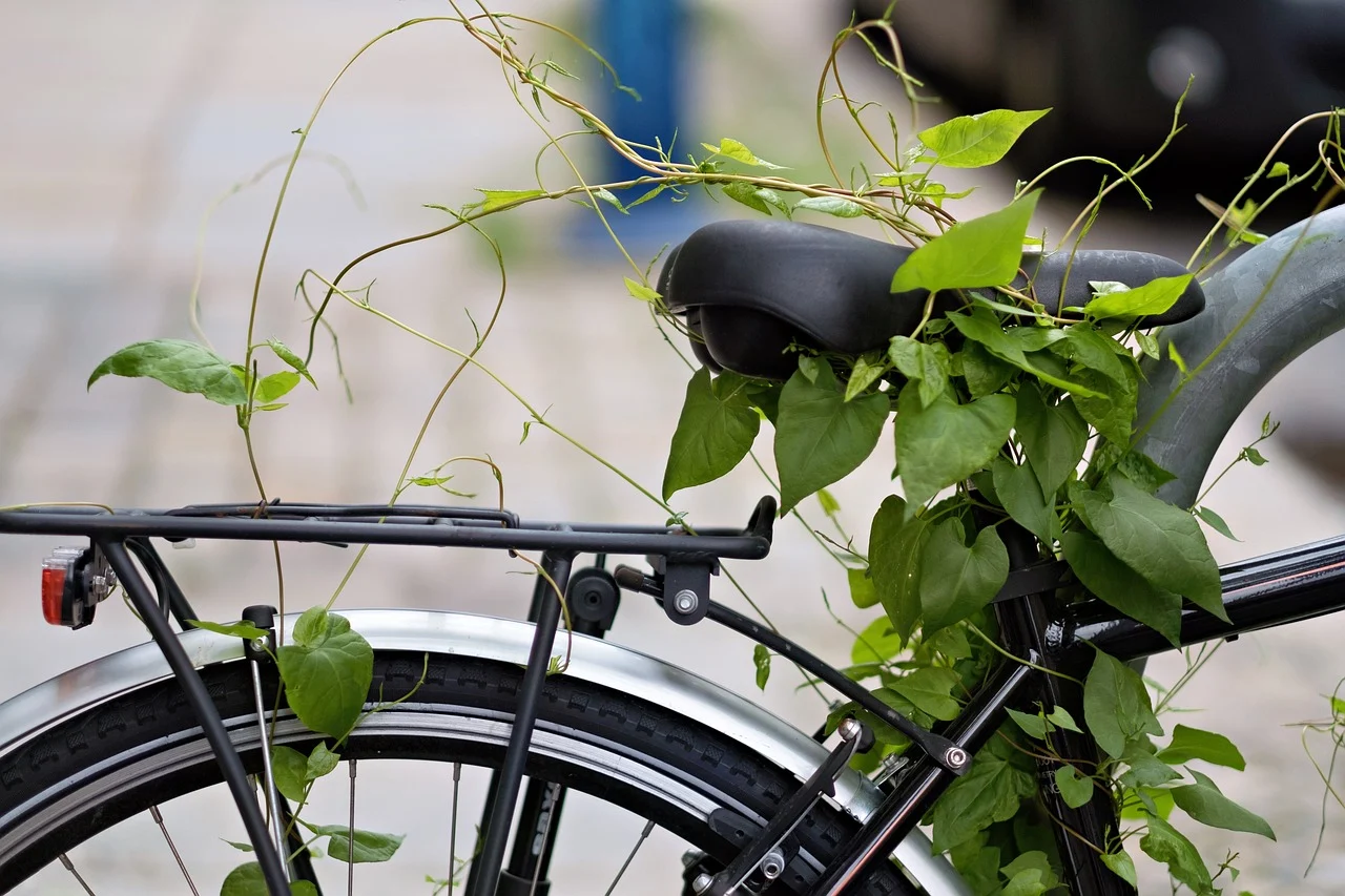 In bici con i bambini: la ciclovia che fa sorridere tutta la famiglia”