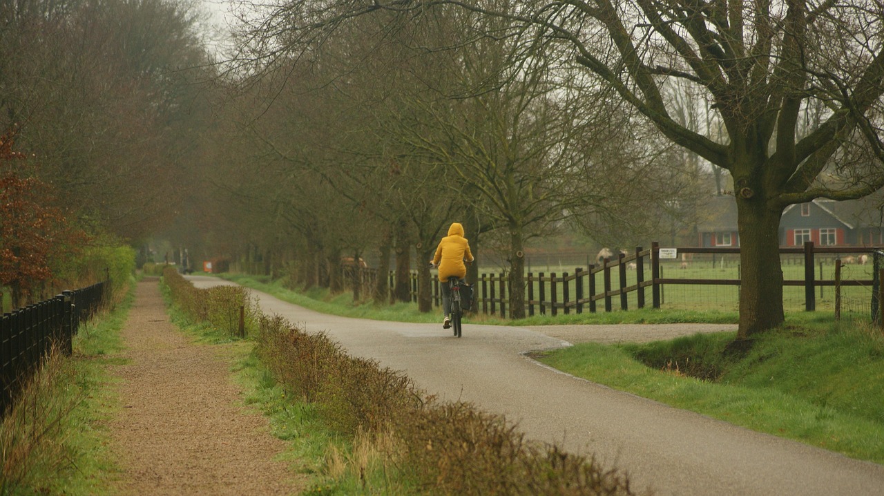 Al via la riqualificazione di via Bersaglio e il nuovo tratto della ciclabile FVG4: cambia la viabilità nel cuore di Udine