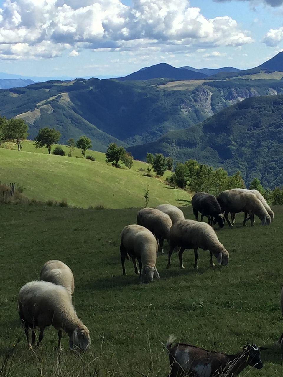 L’Appennino che non ti aspetti: viaggio lento tra borghi e silenzi.