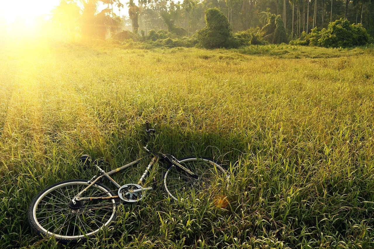 La Via Silente: il Cilento in bicicletta tra mare, borghi e silenzi