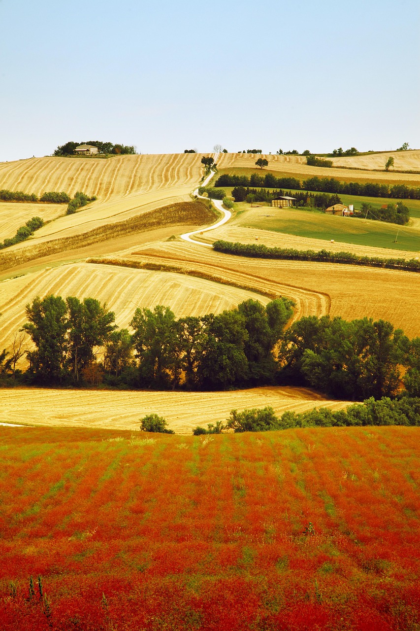 Marche in bicicletta: un itinerario tra Recanati, Loreto e le colline del Conero