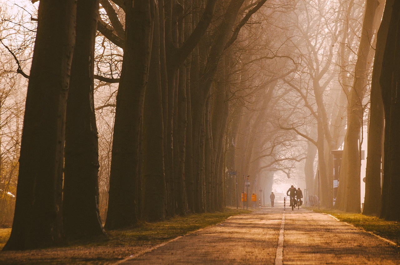 Cicloturismo: i 10 consigli fondamentali per chi inizia a viaggiare in bicicletta