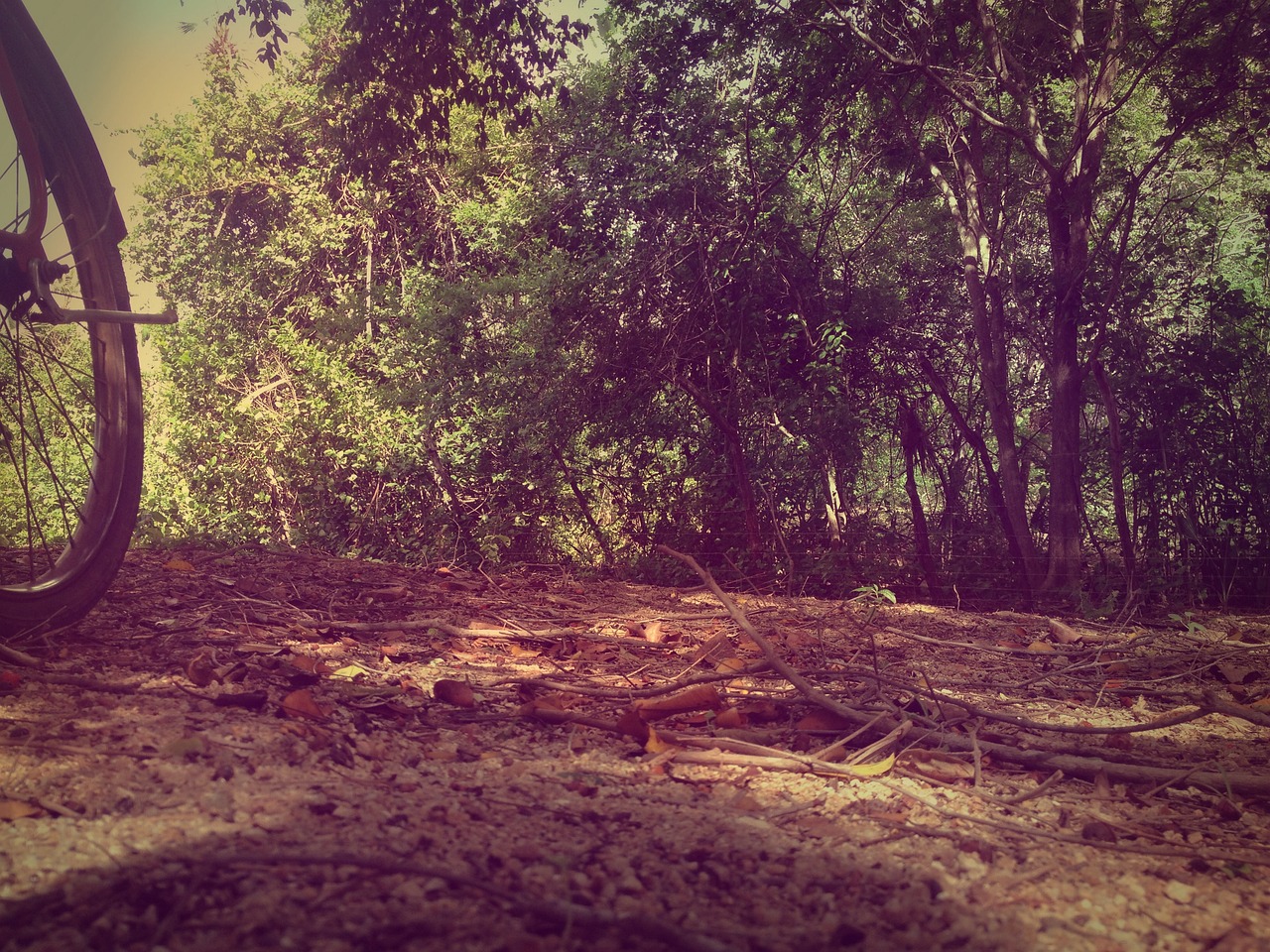 Viaggiare in bicicletta cambia il modo di vedere i luoghi (e le persone)