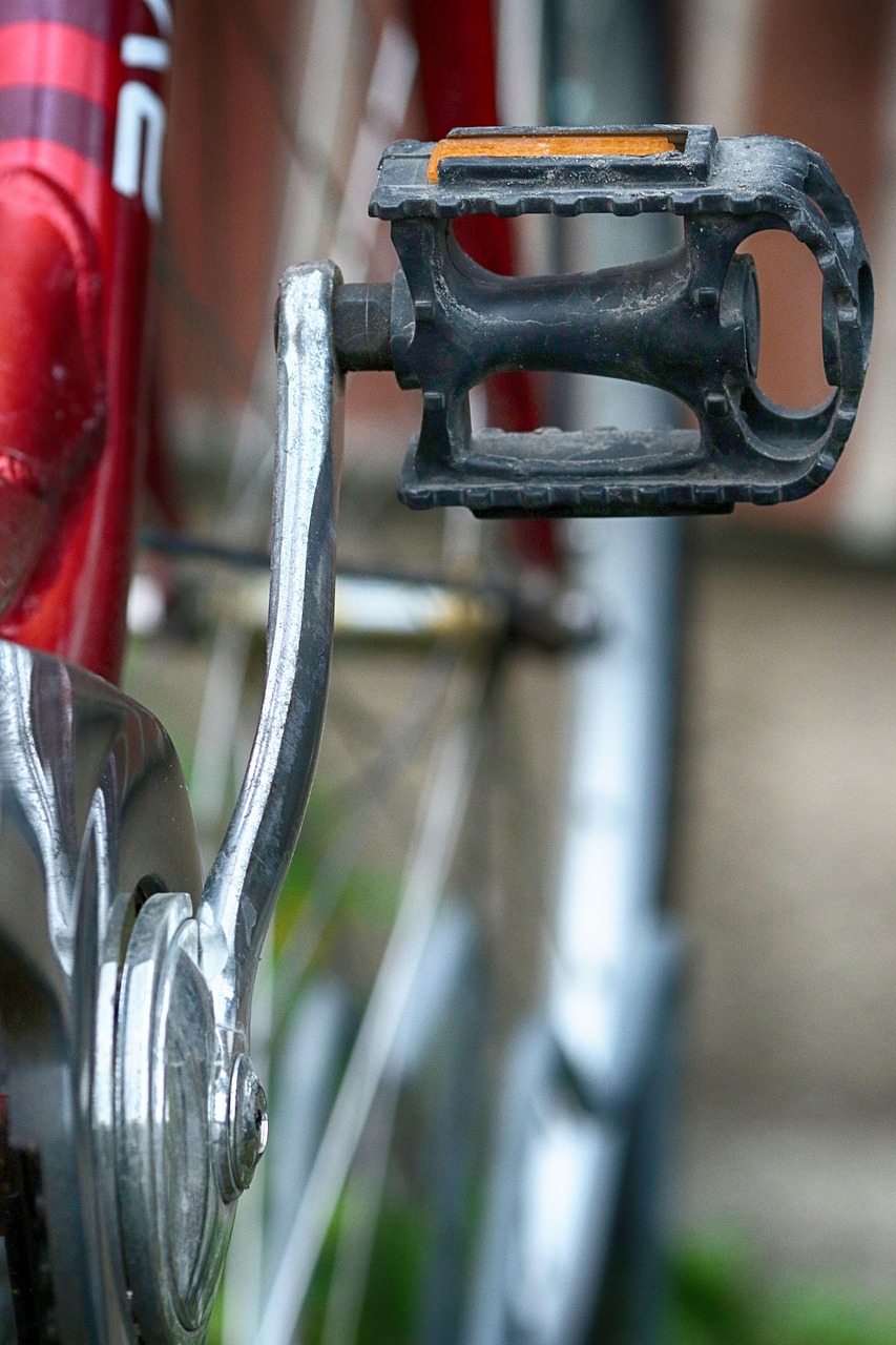 Pedalare meglio: le tecniche che ogni cicloturista dovrebbe conoscere