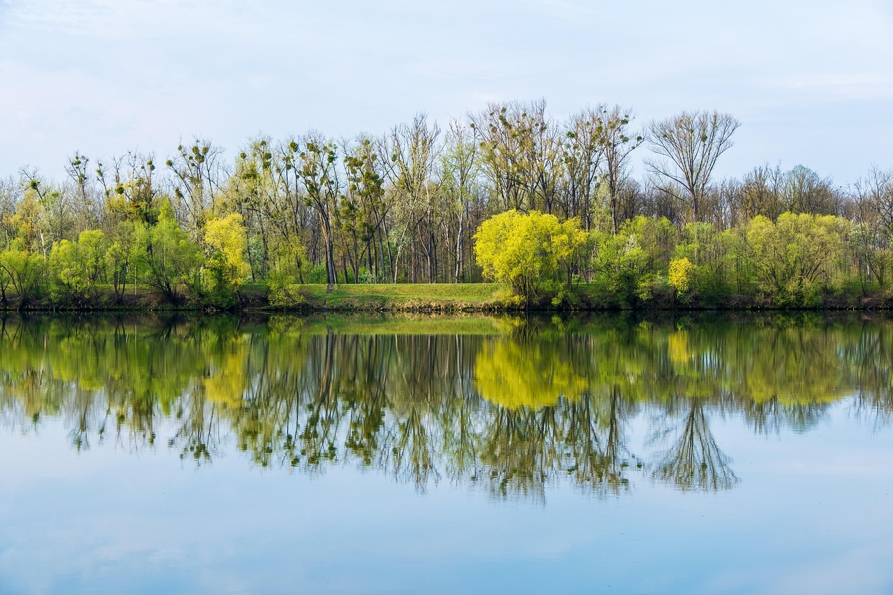 Lungo il Danubio: pedalare tra storia e natura selvaggia